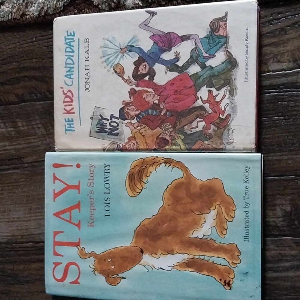 2 hard covered chapter books